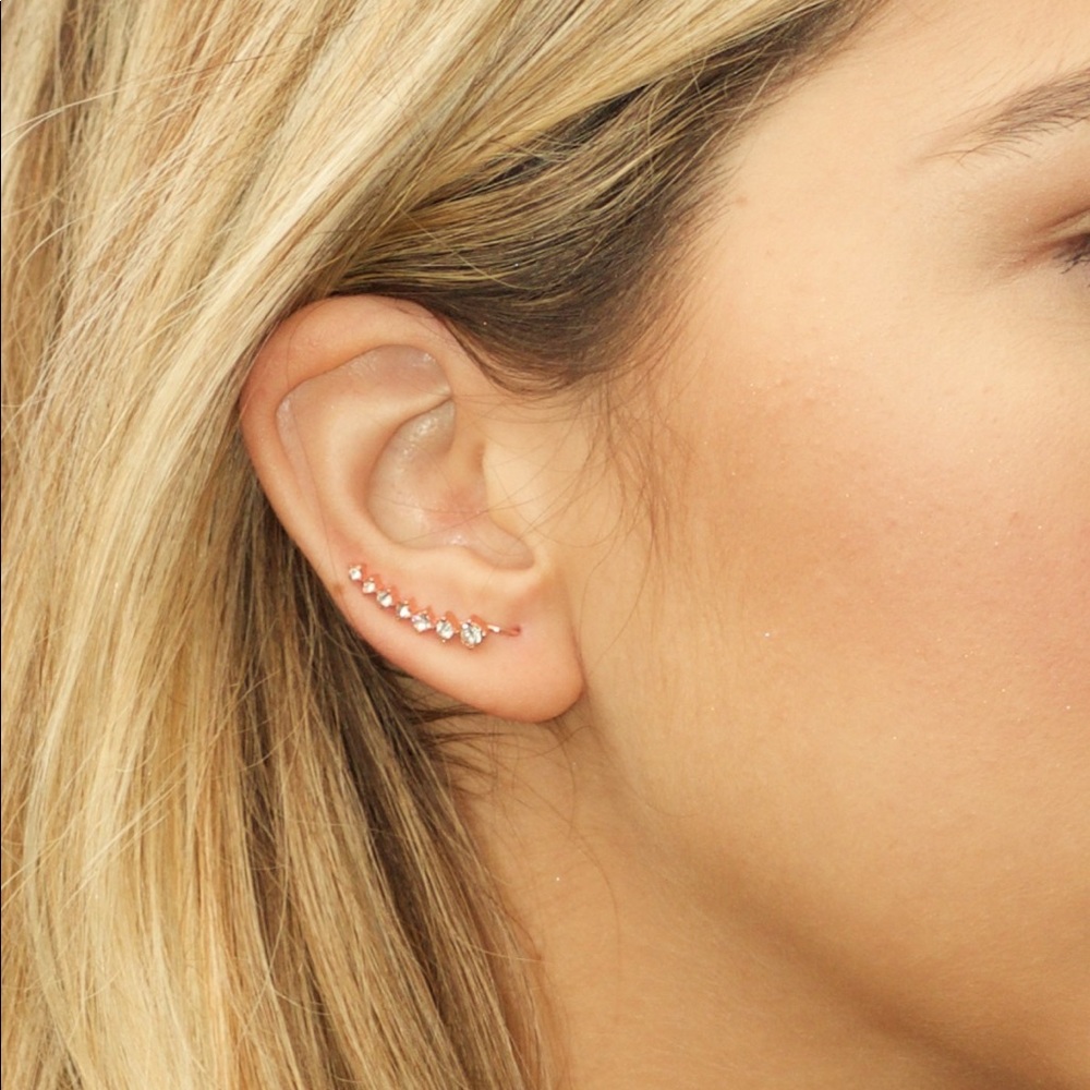 Ear Crawlers, Ear Climbers, Ear Pins.